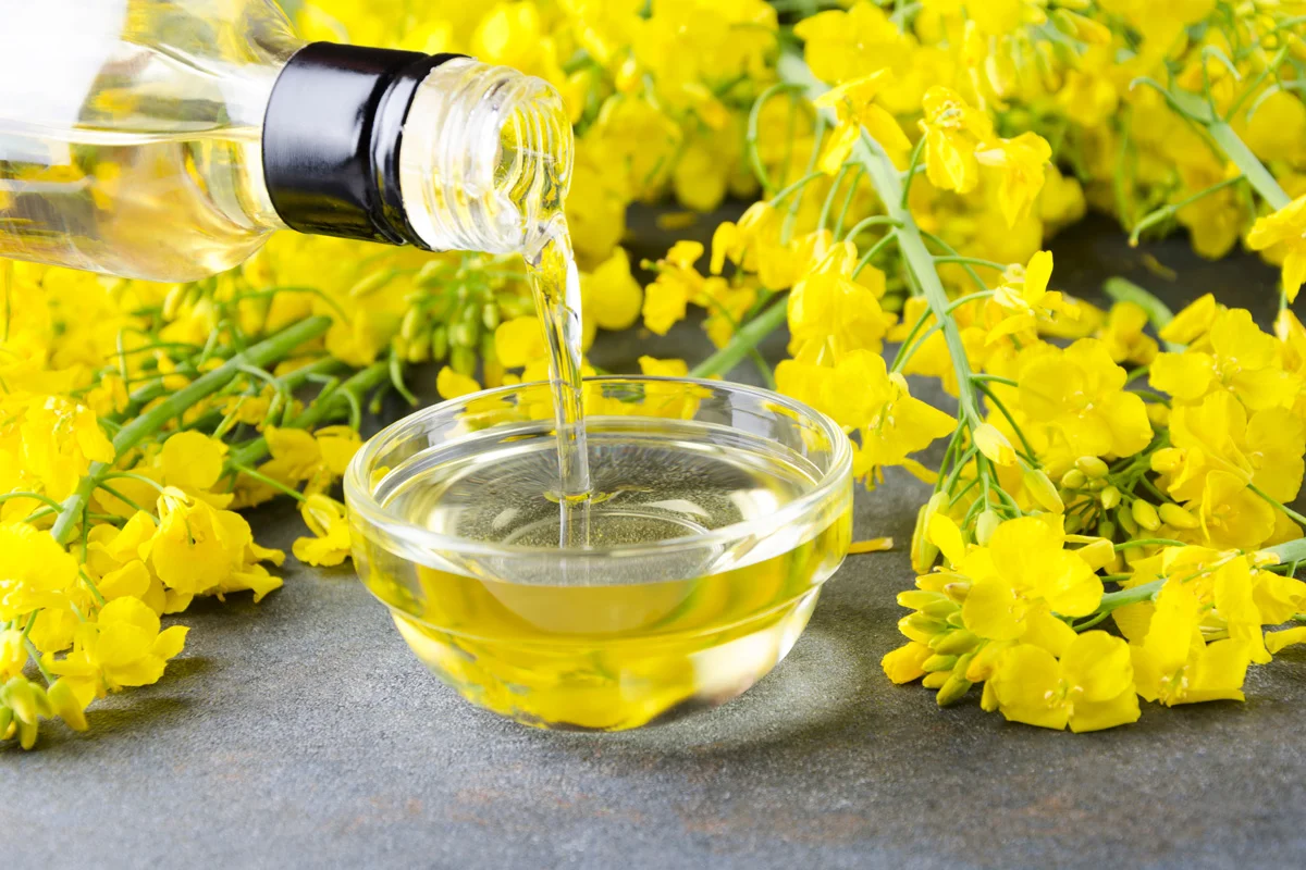 Pouring-canola-oil-into-the-glass-bowl-against-rapeseed-blossoms-on-the-grey-surface-closeup-shot