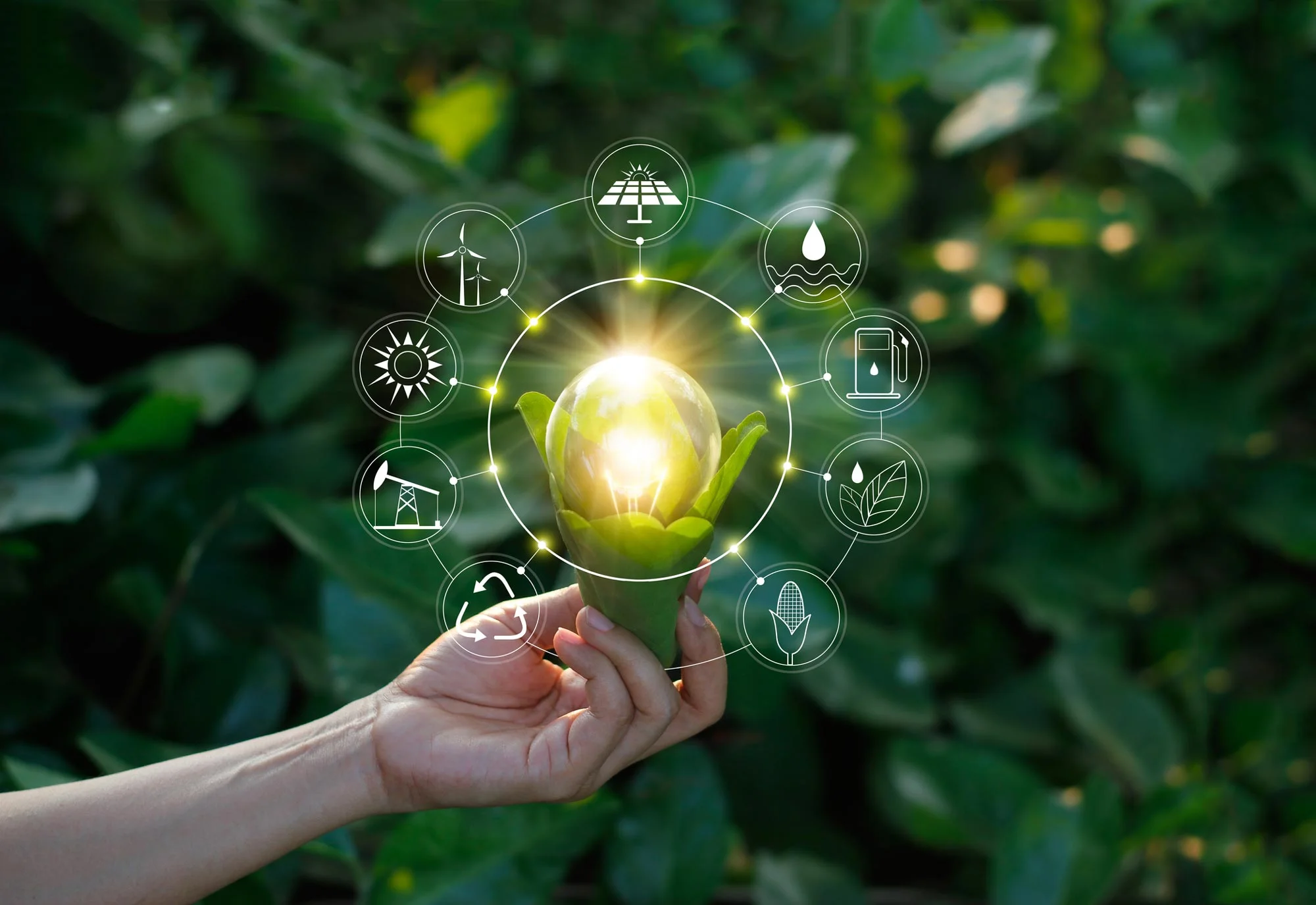 lightbulb-renewable-energy-sources-istock-1158790704